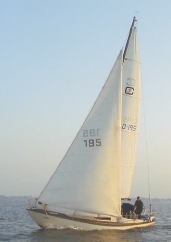 Commander 31