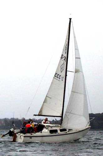 Jaguar 25