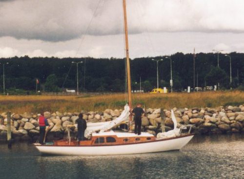 Jensen 29