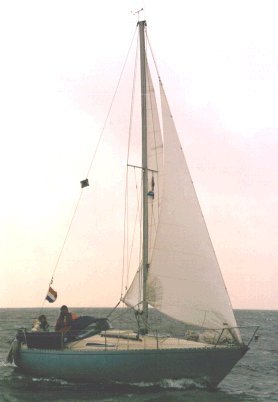 Nadine 24