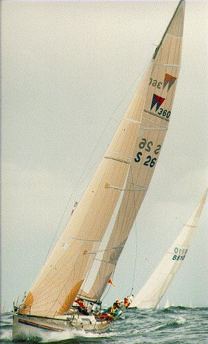 Wasa 360