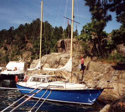 Evasion 32