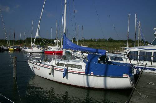 Super Daïmio Super Daïmio