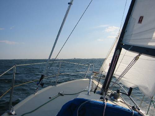 Artistic photo Artistic photo