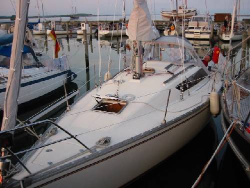 Arcadia 30