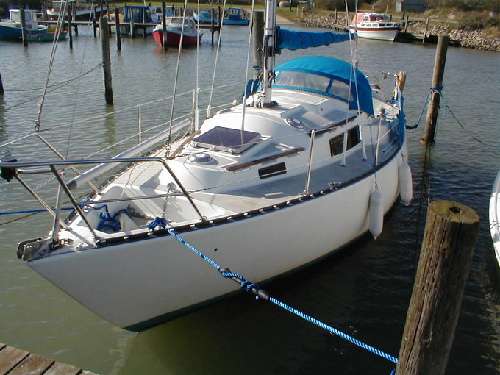 Seal 28