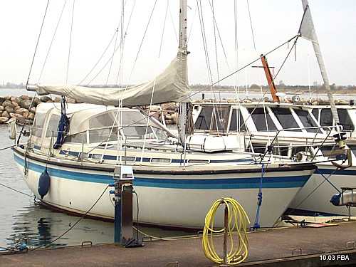 Møn 391