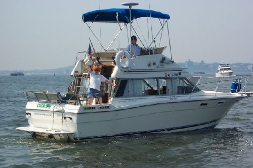 Bayliner 2556 Ciera