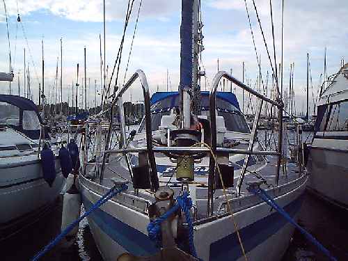Møn 431