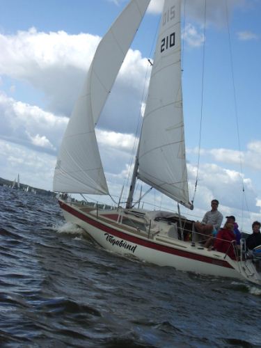 Dehlya 22