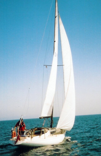 Commander 31 Commander 31