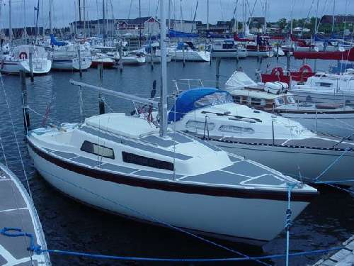 Compass 23