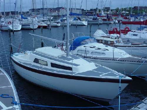 Compass 23