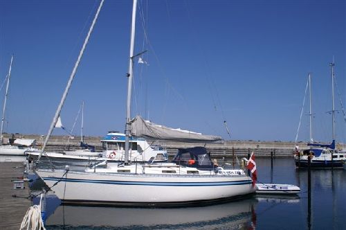 Bianca 320