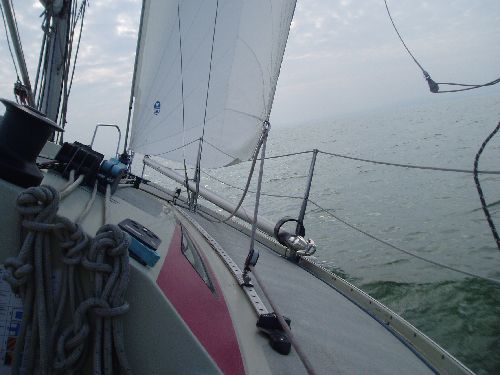 Banner 28 Racer Mk II