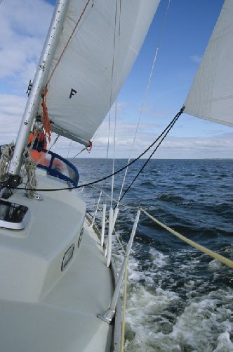 Artistic photo Artistic photo