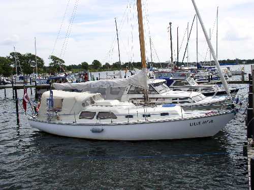 Delphin 66