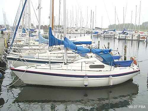 Jasmine 25