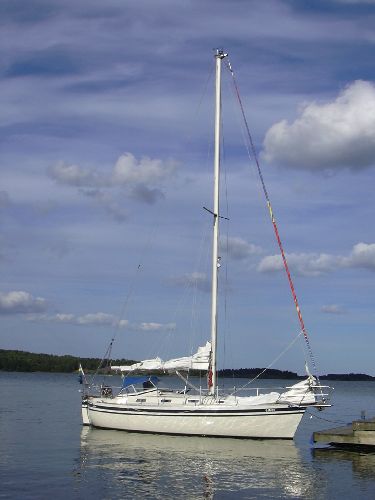 Vagabond 31