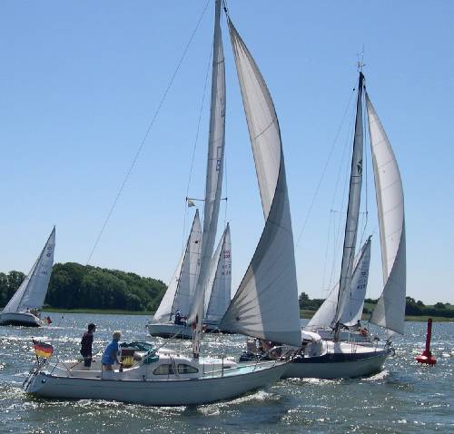 Kings Cruiser 29