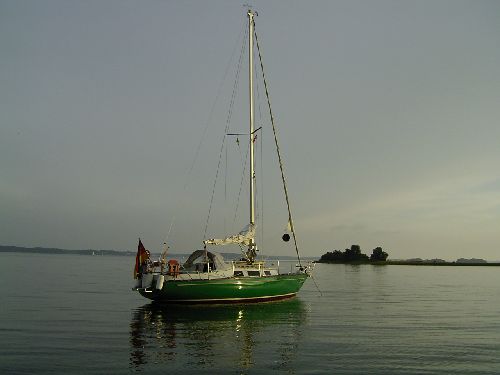 Murena 1/2 Ton