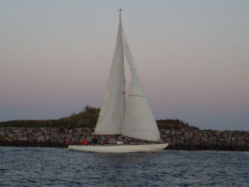 Helco 33