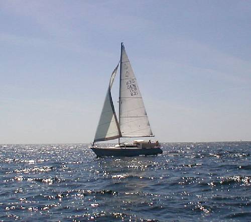 Dehler 31