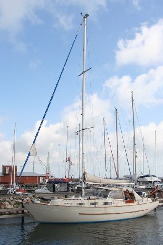Møn 37