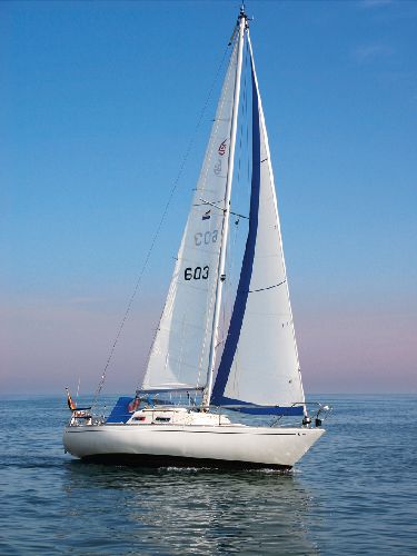 Accent 26