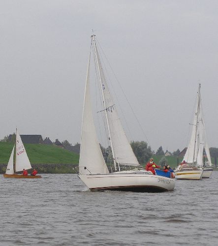 Albin 79