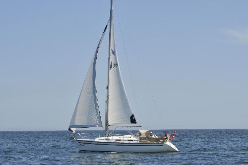 Rig