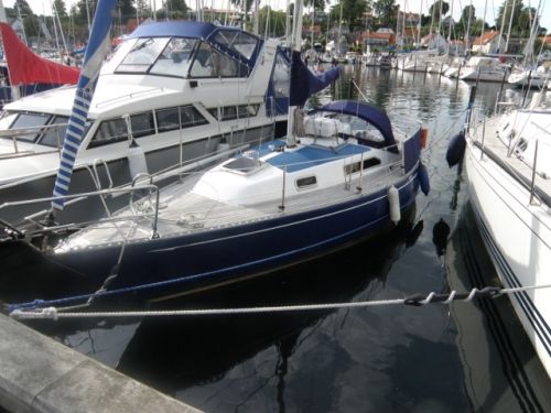 Puma 26