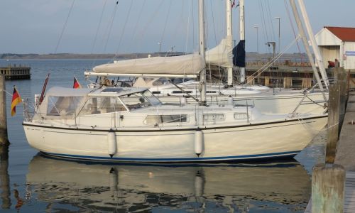 Venus 31