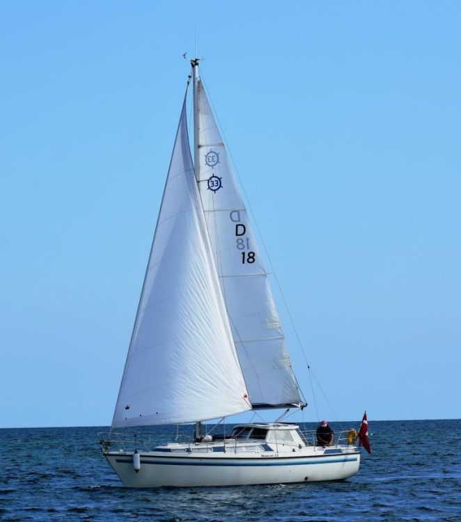 Mascot 33