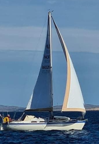 Allegro 33