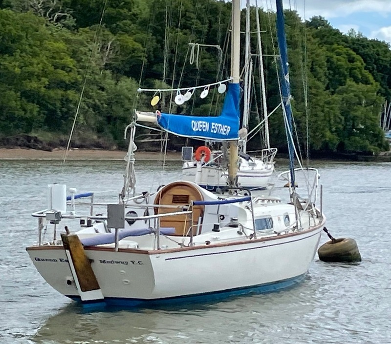 Contessa 26