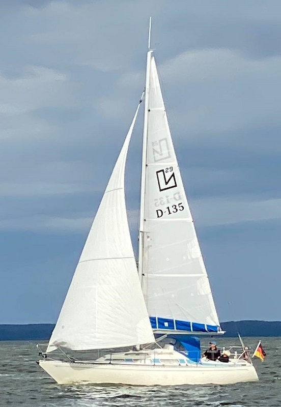 L 29