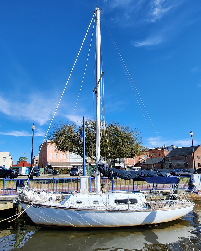 Tiger Cub 28