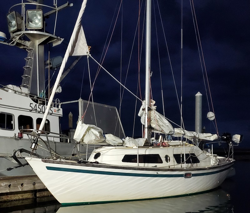 Dockrell 27