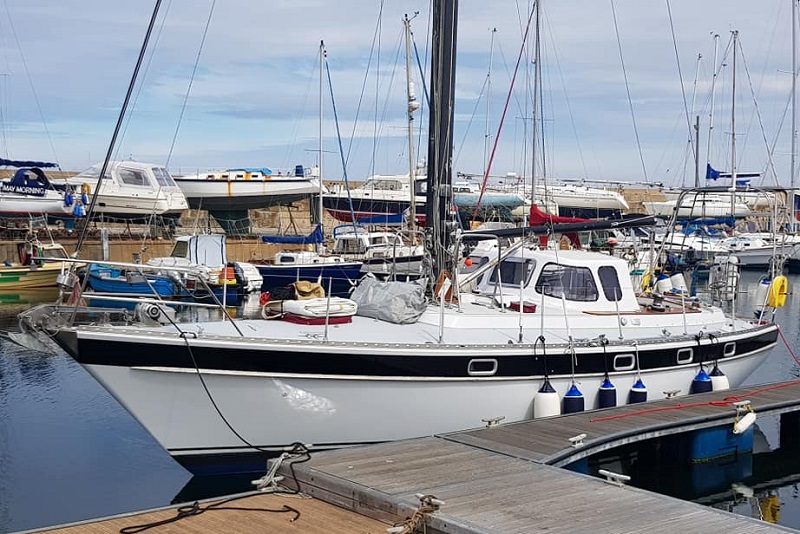 Trintella 38