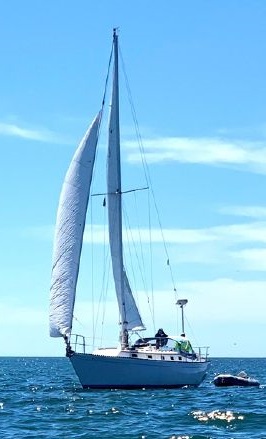 Rig