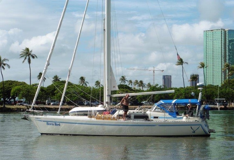 Sceptre 41