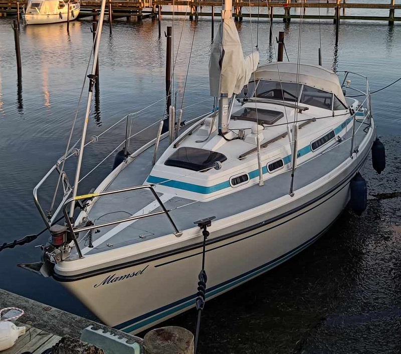 LM Mermaid 290