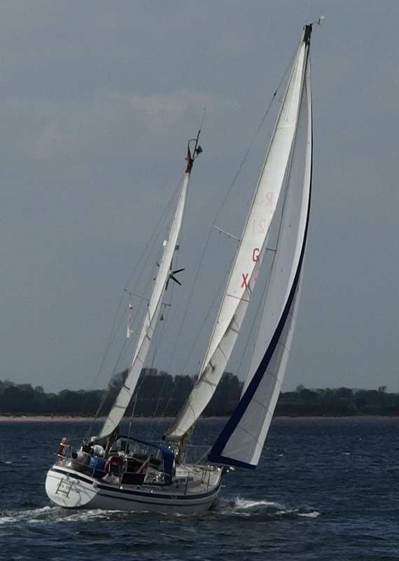 Contest 36