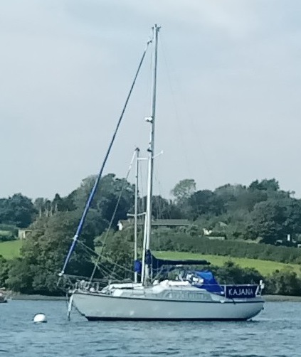Rig
