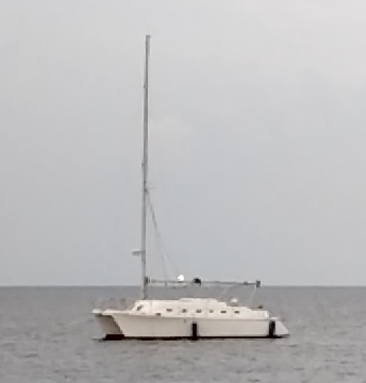 Rig