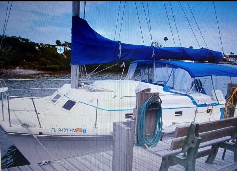 C-Cat 3014