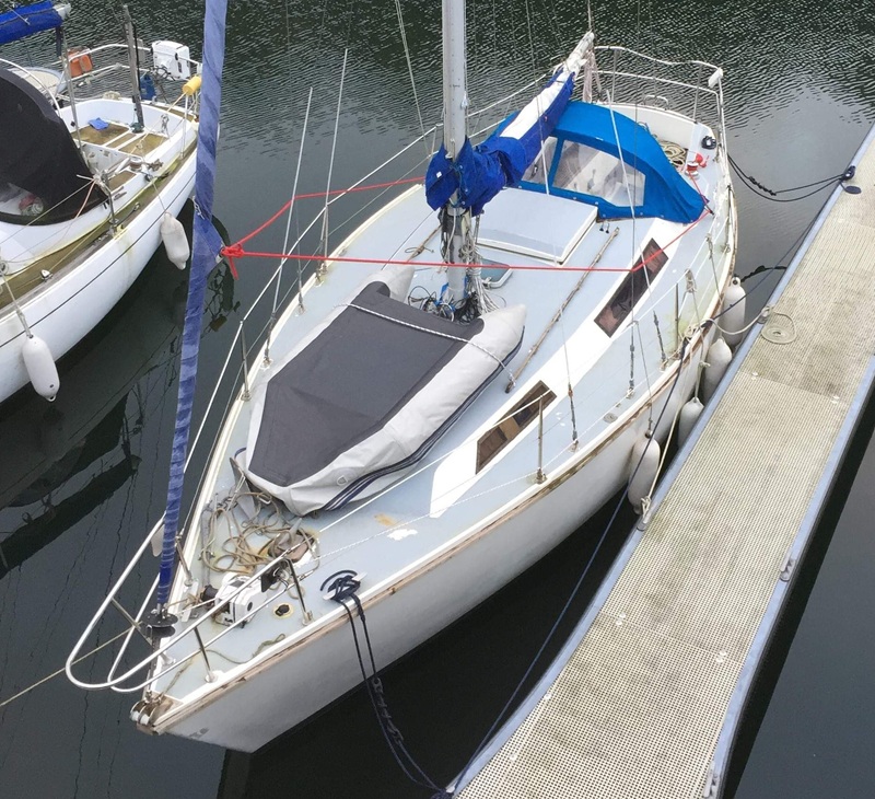 Sailor 29
