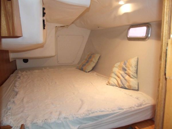 Aft Cabin