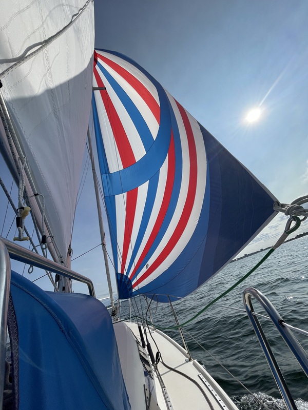 Johnson 26